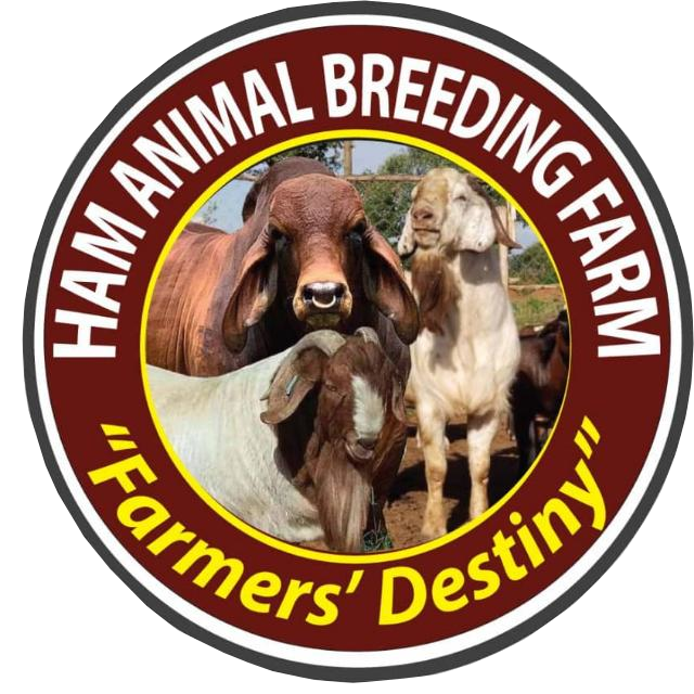 Ham Animal Farm Logo