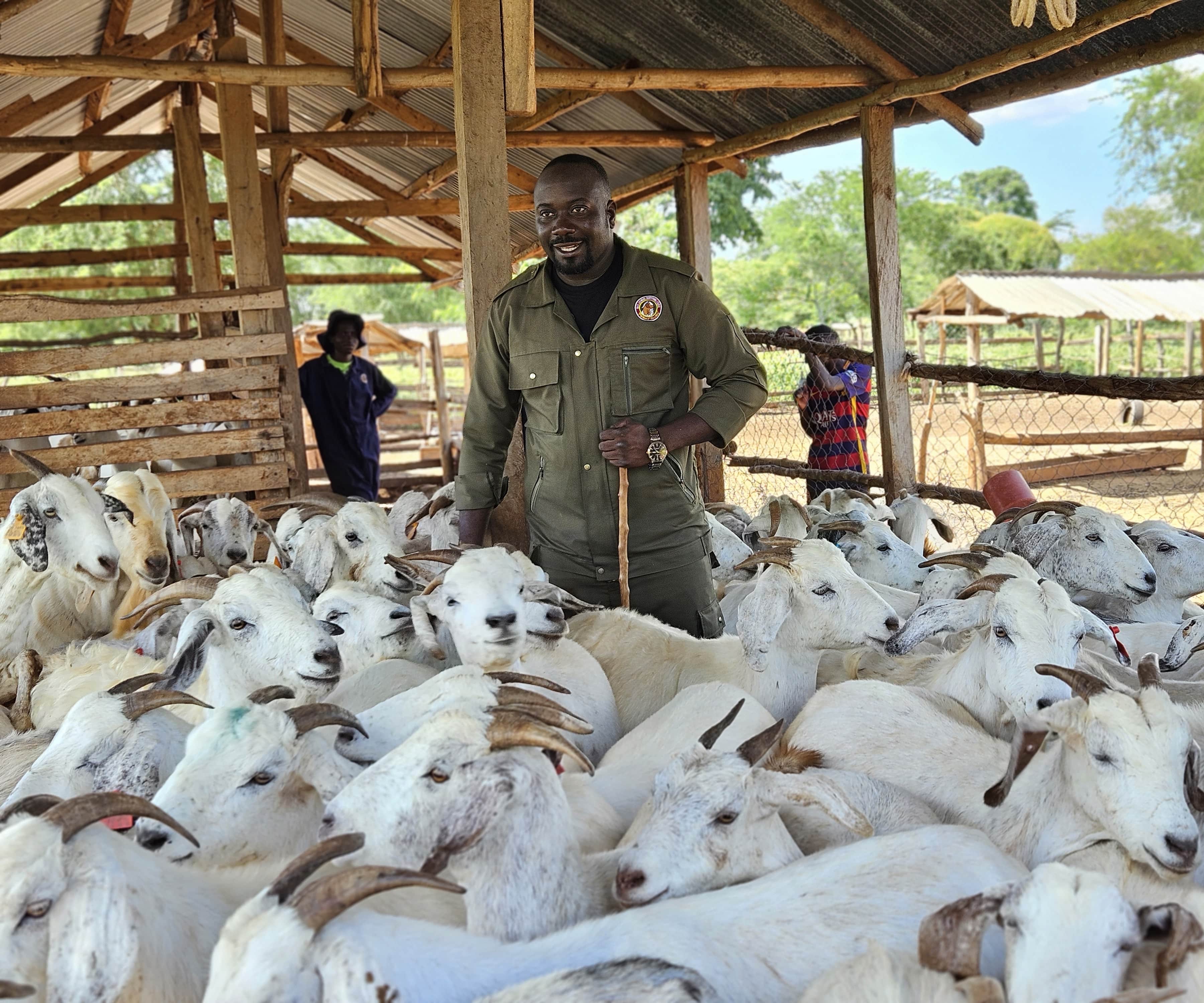 Ham Animal Breeding Farm 