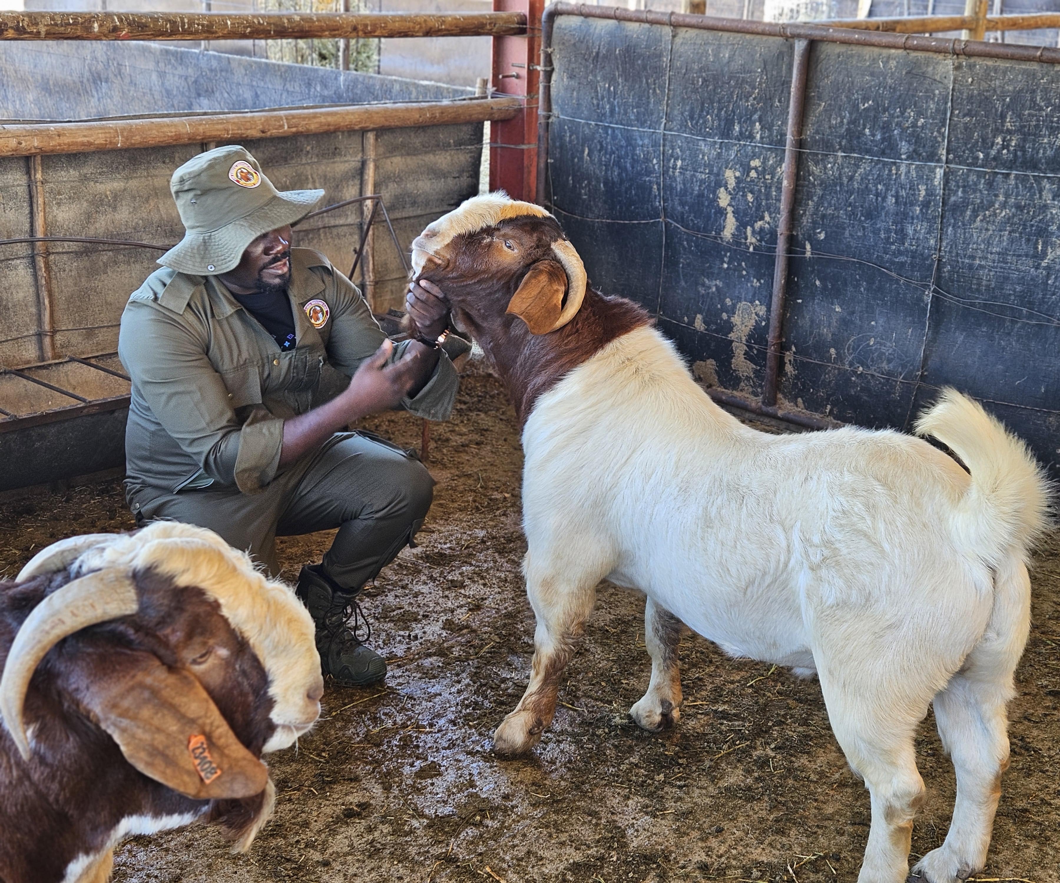 Agricultural Lessons